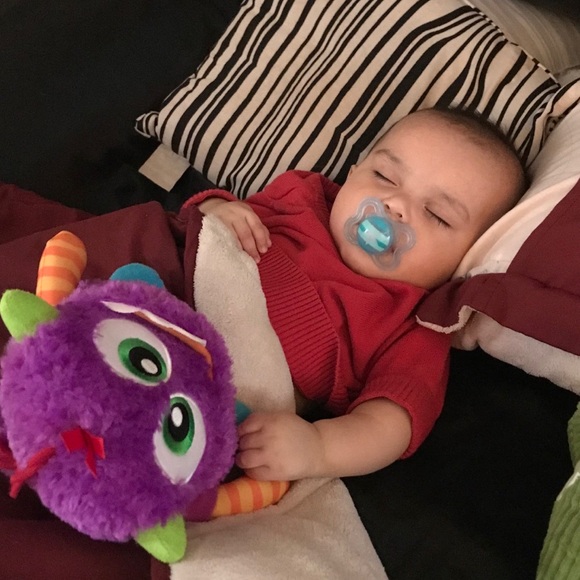 Meet your Posher, Suzie - Picture 8 of 8